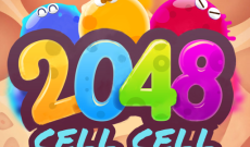 2048Cell