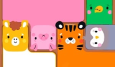 Animals Blocks