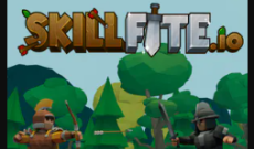 Skillfite.io