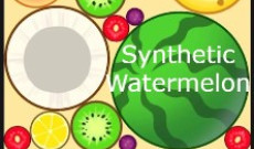 Synthetic Watermelon