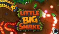 Little Big Snake