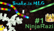 Snake.is MLG Edition